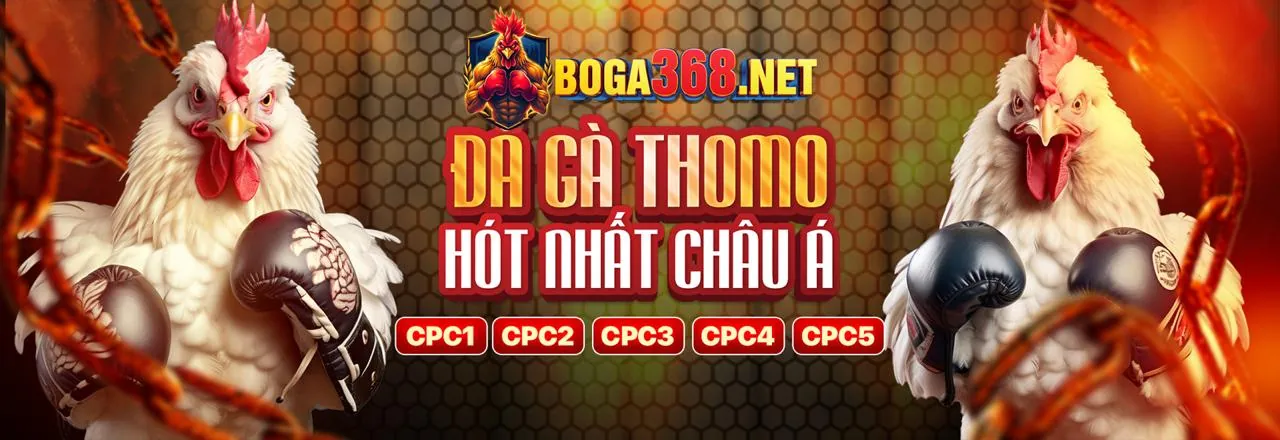 Đá gà trực tuyến kịch tính tại rongbk666